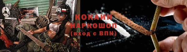 крисы Краснослободск