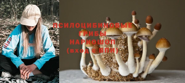 мет Красноперекопск